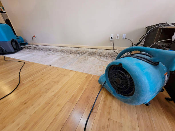Professional Sewage Cleanup technician working in Burlington, ND